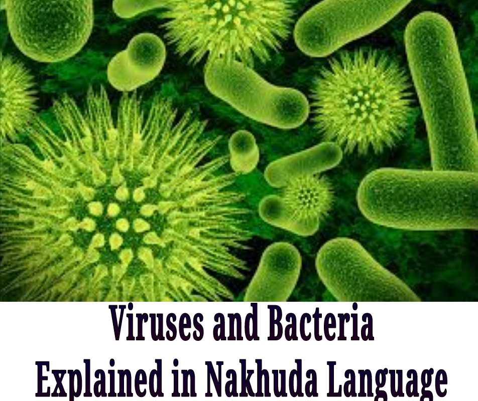 Viruses and Bacteria